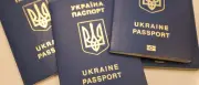 4 Millionen Geflüchtete in Deutschland: Ukraine und Syrien dominieren