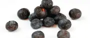 Açaí-Trend erreicht Potsdam: Neues Café in Brandenburger Straße