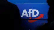 AfD bei 29 Prozent: Vorsprung zur Union so groß wie nie