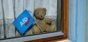 AfD-Erfolg: Wie etablierte Parteien den Aufstieg begünstigen