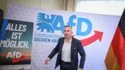 AfD in Sachsen-Anhalt: Viele Wahlplakate mit KI generiert