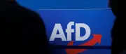 AfD-Verbotsverfahren: Über 1,3 Millionen unterstützen Petition