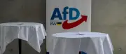 Aktivisten servieren AfD-Politikern Hakenkreuz aus veganem Hack