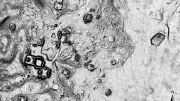 Archäologen entdecken uralte Maya-Stätte Minanbé in Mexiko