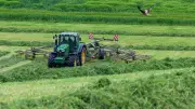 Bauernpräsident warnt vor Liquiditätskrise in der Landwirtschaft