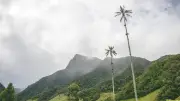 Beinahe-Festnahme in Kolumbien: Autorin berichtet von Albtraum-Wanderung