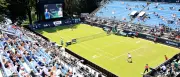 Berlin Tennis Open: Neuer Look, mehr Plätze und Serena Williams