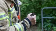 Berliner Feuerwehr rettet verletzten Mauersegler in Johannisthal