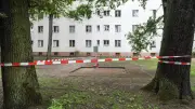 Berliner Senat koordiniert Kampf gegen Eichenprozessionsspinner