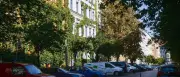 Berliner Senat ruft zum Gießen von Straßenbäumen auf
