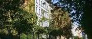 Berliner Straßenbäume brauchen Wasser: So gießt man richtig