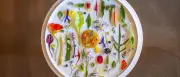 Berlins beste Restaurants für Gemüse: Von Sterne-Spargel bis vegane Pizza