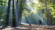 Berlins kühlste Orte: Tipps für heiße Tage abseits der Seen