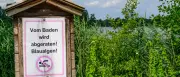Blaualgen und Zerkarien: Badestellen in Brandenburg betroffen