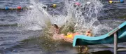 Blaualgen und Zerkarien: Potsdam warnt vor Gefahren beim Baden