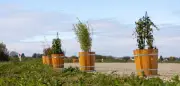 Blumenkübel-Streit: Herrenknecht droht mit Standortverlagerung