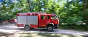 Brandenburg: 4.000 Quadratmeter Waldbrand bei Halbe gelöscht