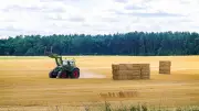 Brandenburger Landpartie 2026: 135 Höfe öffnen für Besucher