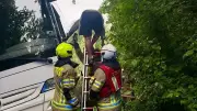 Busfahrer steckt mit Reisebus im Wald fest – Kinder mit Taxis