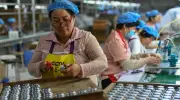China: Exportboom treibt PMI im Juni auf 50,3 – Risiken bleiben