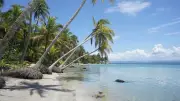Curaçao: Der kleinste WM-Teilnehmer der Geschichte im Porträt