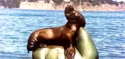 Das Foto, das um die Welt ging: Seelöwe auf Statue in Kalifornien