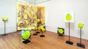 Das Wissen der Orange: Ausstellung über Geschichten hinter Dingen
