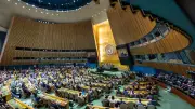 Deutschlands UN-Schlappe: Gründe für die Niederlage bei Sicherheitsratswahl