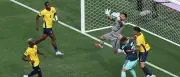 DFB-Elf im letzten WM-Gruppenspiel: 1:1 gegen Ecuador