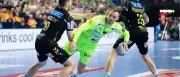 Drei Füchse und ein SCM-Profi im EHF-Team des Jahres