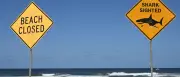 Dritter tödlicher Hai-Angriff in Australien binnen drei Wochen