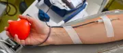 DRK ruft zu Blutspenden auf: Reserven werden bei Hitze knapp