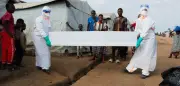 Ebola-Epidemie im Kongo: 304 Tote, Bettenkapazität zu 95% ausgelastet