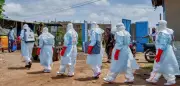 Ebola in DR Kongo: Fast 600 Fälle – USA fordern Reisebeschränkungen in Europa
