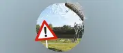 Eichenprozessionsspinner bedroht Görlitzer Park – Sabotage durch Kai Wegner?