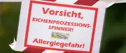 Eichenprozessionsspinner: Senat will Bezirke bei Bekämpfung unterstützen