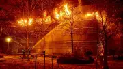 Einsatzrekord 2025: Berlins Feuerwehr mit über 558.000 Einsätzen