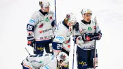 Eisbären Berlin verpflichten Nachwuchsstürmer Noel Saffran