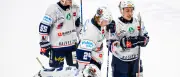 Eisbären Berlin verpflichten Stürmer Noel Saffran von Iserlohn