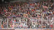 Eisbären tragen CHL-Heimspiele im Wellblechpalast aus