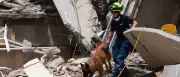 Erdbeben in Venezuela: Rettungskräfte kämpfen gegen die Zeit