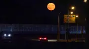 Erdbeermond in der Nacht zu morgen: Höhepunkt um 1:57 Uhr