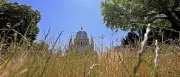 Extreme Hitze in Potsdam: DWD warnt vor 40 Grad am Wochenende