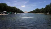Festnahme nach Vandalismus an Trumps Reflecting Pool