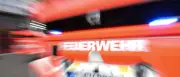Feuerwehr rettet Reh aus Pool in NRW: Tier war sehr zutraulich
