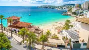 Fischattacke auf Mallorca: Bissige Brassen erschrecken deutsche Touristin