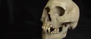 Forscher entdecken ältesten Pest-Ausbruch vor 5.500 Jahren in Sibirien