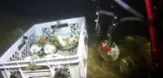 Forscher finden Porzellanschatz in Schiffswrack aus dem 18. Jahrhundert