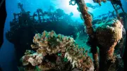 Forscher identifizieren Wrack des japanischen Höllenschiffs „Hōfuku Maru“