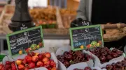 Französische Inflation fällt überraschend auf zwei Prozent zurück